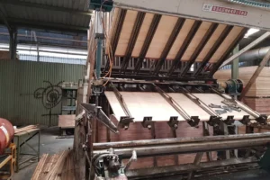 Galeri (25) Galeri (25)