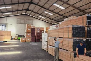 Galeri (31) Galeri (31)