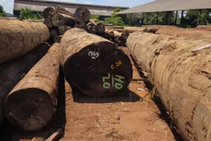 Galeri (39) Galeri (39)