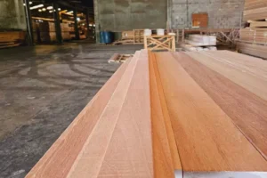 Galeri (41) Galeri (41)