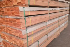 Galeri (43) Galeri (43)