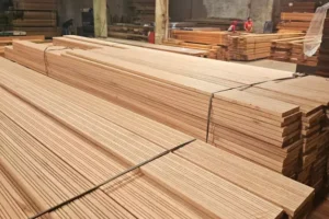 Galeri (46) Galeri (46)